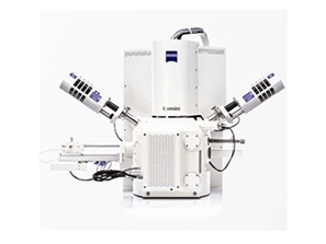 Product Field Emission Scanning Electron Microscope