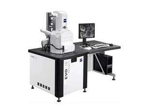 Analytical scanning electron microscopy