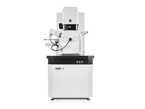 Scanning electron microscope platform